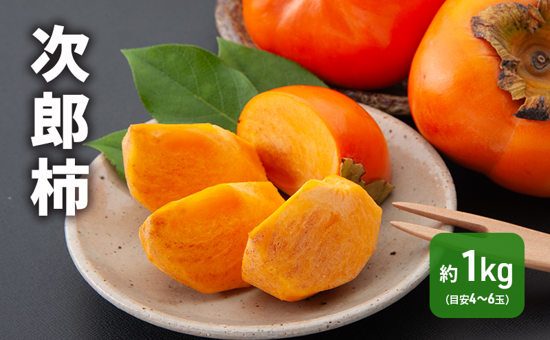 【2026年11月上旬より順次発送】 次郎柿 1kg 4～6個 静岡県 浜松市 果物 くだもの フルーツ 柿 かき
