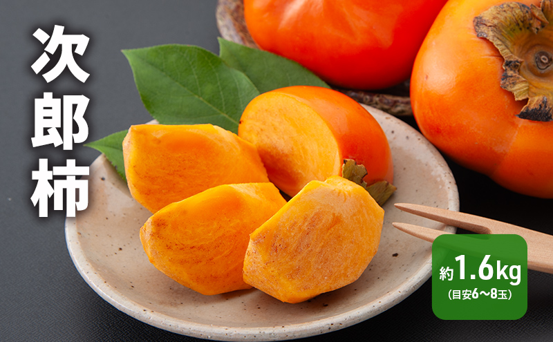 【2026年11月上旬より順次発送】 次郎柿 1.6kg 6～8個 静岡県 浜松市 果物 くだもの フルーツ 柿 かき