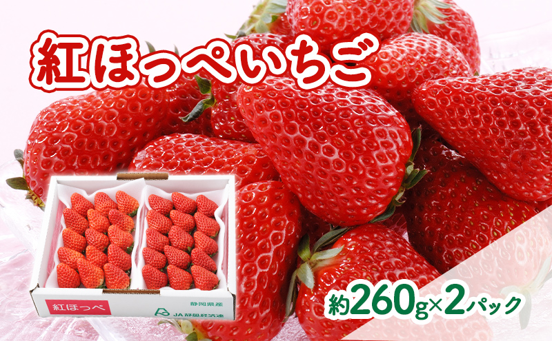 【2026年1月中旬より順次発送】紅ほっぺいちご 約260g×2パック【配送不可：離島】