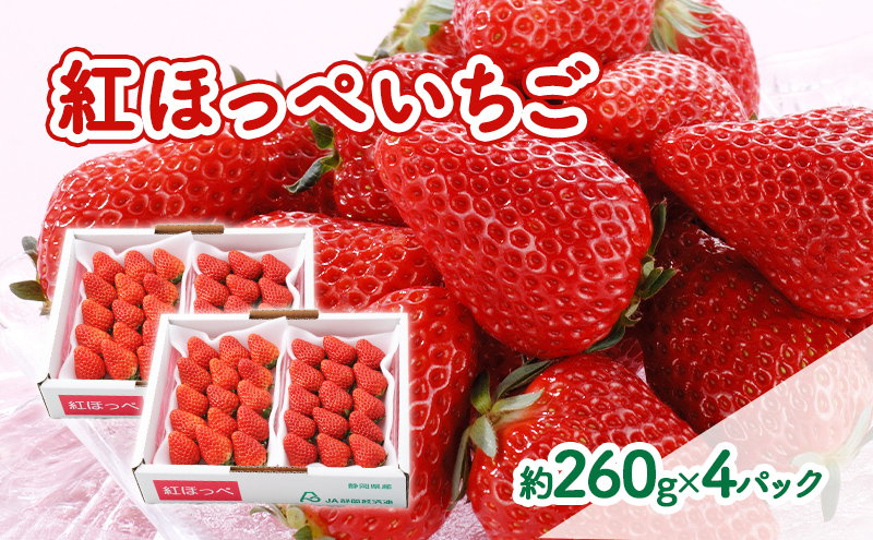 【2026年1月中旬より順次発送】紅ほっぺいちご 約260g×4パック【配送不可：離島】