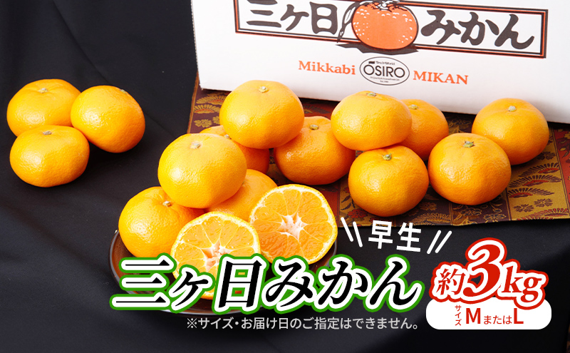 【2026年11月中旬より順次発送】 三ヶ日みかん 早生 3kg M～L 早生みかん みかん 蜜柑 ミカン 果物 くだもの 旬のフルーツ 旬の果物 季節のフルーツ 季節の果物 柑橘 柑橘類 静岡 静岡県 浜松市