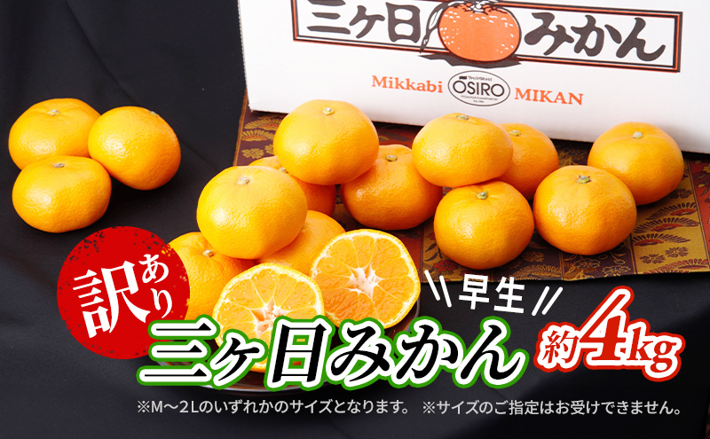 【2026年11月中旬より順次発送】 訳あり 三ヶ日みかん 早生 4kg 早生みかん みかん 蜜柑 ミカン 果物 くだもの 旬のフルーツ 旬の果物 季節のフルーツ 季節の果物 柑橘 柑橘類 訳アリ 静岡 静岡県 浜松市