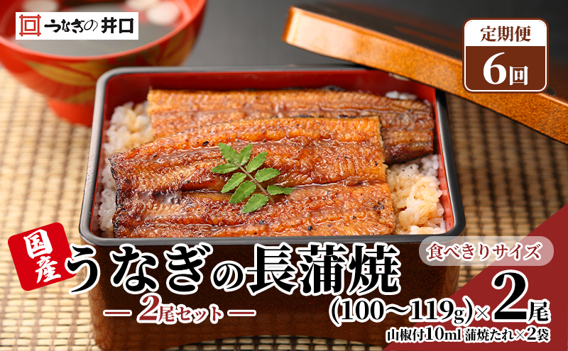 国産うなぎ 定期便 6ヶ月 うなぎ 食べ切りサイズ 2尾 セット ITI優秀味覚賞受賞  蒲焼 国産 ウナギ 鰻 うなぎの蒲焼 詰め合わせ 国産うなぎ蒲焼 魚 和食 惣菜 真空パック 静岡 静岡県 浜松市 6回 定期 【配送不可：離島】【2026年1月15日以降順次発送】