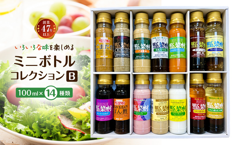 野菜村ドレッシング ミニボトルコレクション B 各100ml 各1本 合計14本 ドレッシング 調味料 静岡 浜松市