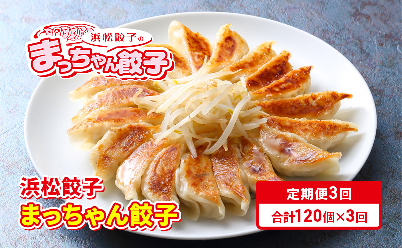 【定期便3回】浜松餃子のまっちゃん餃子まっちゃん餃子40ヶ入り×3袋　計120ヶセット【配送不可：沖縄県・離島】