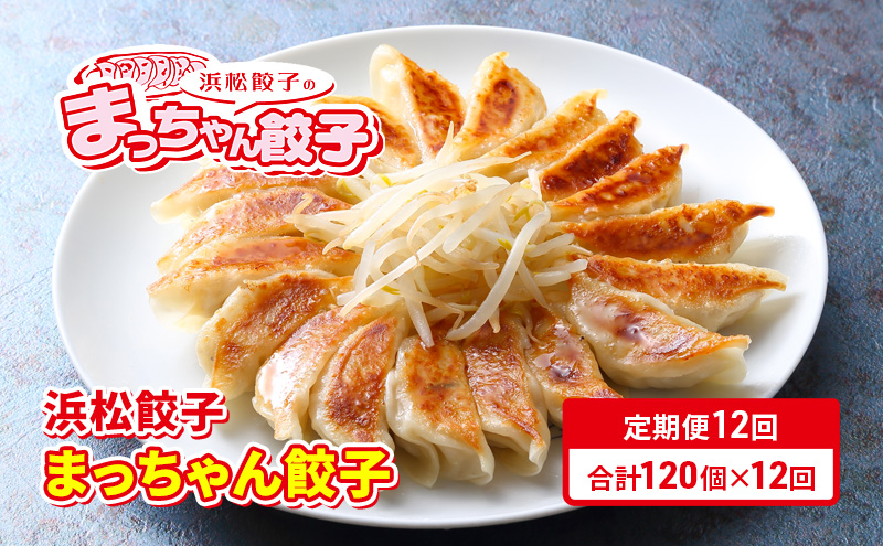 【定期便12回】浜松餃子のまっちゃん餃子まっちゃん餃子40ヶ入り×3袋　計120ヶセット【配送不可：沖縄県・離島】