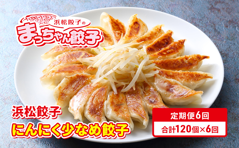 【定期便6回】浜松餃子のまっちゃん餃子にんにく少なめ餃子40ヶ入り×3袋　計120ヶセット【配送不可：沖縄県・離島】