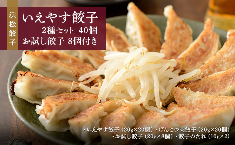 浜松餃子 いえやす餃子 2種 40個 お試し餃子 8個 セット 詰め合わせ 肉餃子 ぎょうざ 餃子 ギョーザ 冷凍餃子 冷凍ぎょうざ 冷凍 冷凍食品 中華 惣菜 食品 おかず 食べ比べ 静岡 静岡県 浜松市 【配送不可：離島】