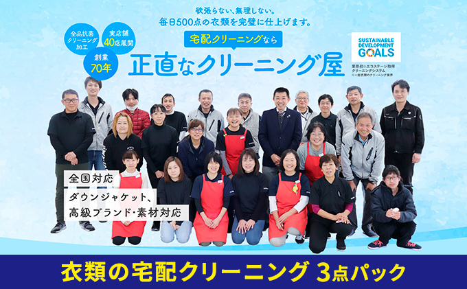 	【1年間有効】衣類の宅配クリーニング　3点パック【配送不可：北海道・沖縄・離島】 サービス 保管無料 抗菌クリーニング 衣替え 洋服 アウター 冬物 クリーニングサービス 浜松市