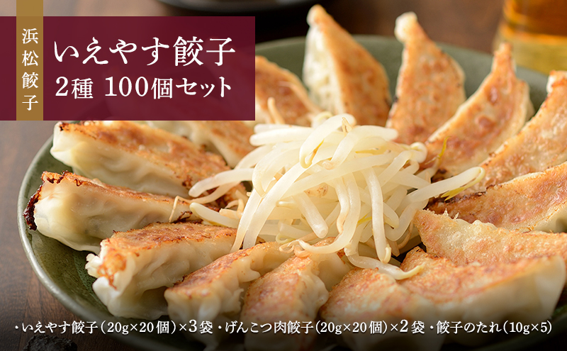 「浜松餃子」いえやす餃子 2種 100個セット【配送不可：離島】