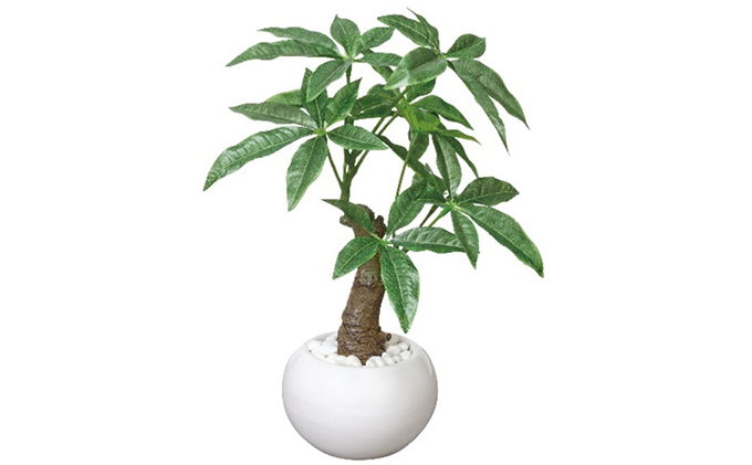 光の楽園　パキラポット【配送不可：北海道・沖縄・離島】 植物 造花