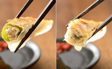 いえやす自慢の浜松餃子４種バラエティーセット