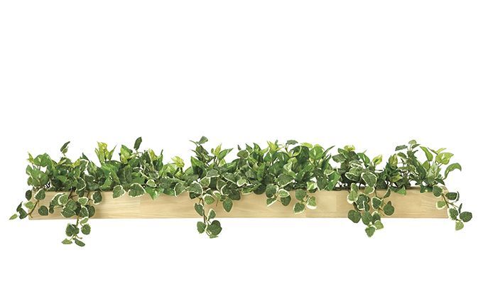 光の楽園　ウッドボックスＳＬ