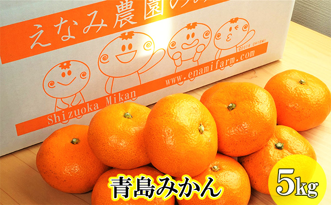 【2025年12月下旬以降順次発送】えなみ農園の青島みかん　5kg（L～2Lサイズ）