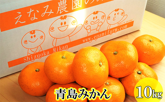 【2025年12月下旬以降順次発送】えなみ農園の青島みかん　10kg（L～2Lサイズ）