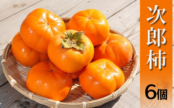 【2025年11月中旬より順次発送】【秋の味覚】幻の柿 次郎柿！木成り完熟の逸品6個入り（1.5kg） 果物 フルーツ かき 冬の味覚 産地直送 静岡県産 浜松市産 ギフト