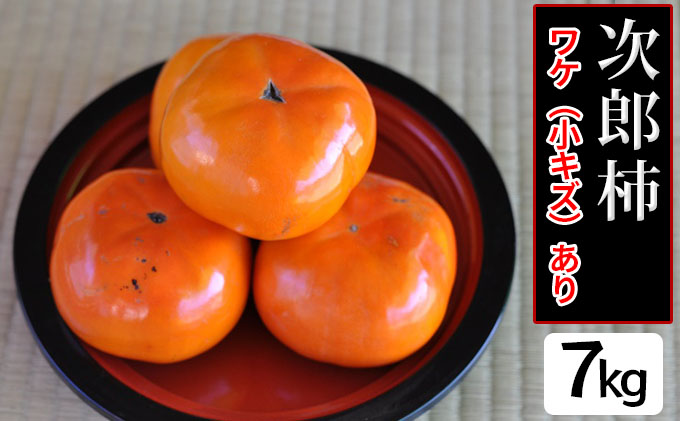 【2025年11月中旬より順次発送】【幻の柿】次郎柿ワケあり（小キズあり）お徳用みんなでシェア（7kg）26個～32個入り 果物 フルーツ かき 冬の味覚 産地直送 静岡県産 浜松市産