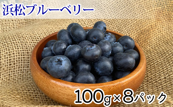 【2024年4月下旬より順次発送】太陽いっぱい大地のジュエリー【浜松産ブルーベリー】800g【配送不可：離島】