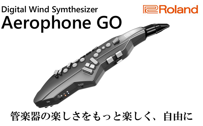 【Roland】ウインドシンセサイザー/エアロフォンGO【配送不可：離島】