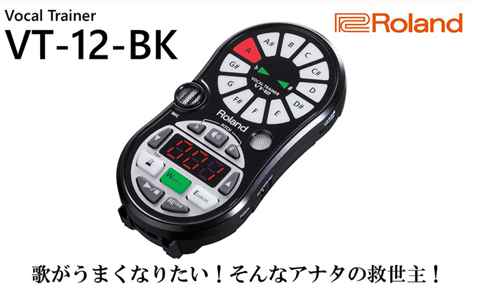 【11月上旬お届け】【Roland】ボーカルトレーナー/VT-12-BK【配送不可：離島】 雑貨 日用品 オーディオ機器