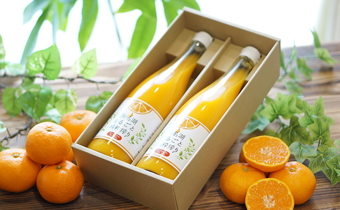 三ヶ日みかんジュース「浜名湖まるごと純粋搾り」720ml 2本【静岡 三ヶ日 みかん ジュース】 果汁飲料 野菜飲料 フレッシュ