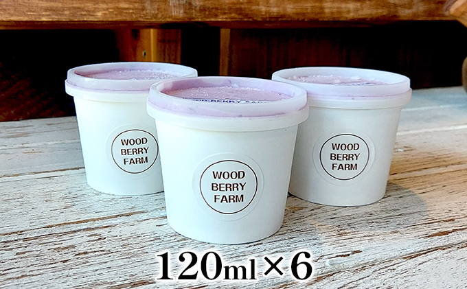 【2024年6月上旬以降順次発送】ブルーベリージェラート　6個入り【配送不可：離島】