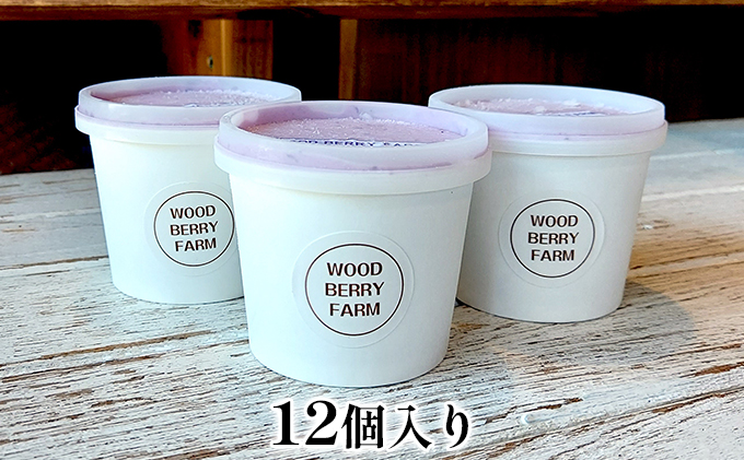 【2024年6月上旬以降順次発送】ブルーベリージェラート　12個入り【配送不可：離島】