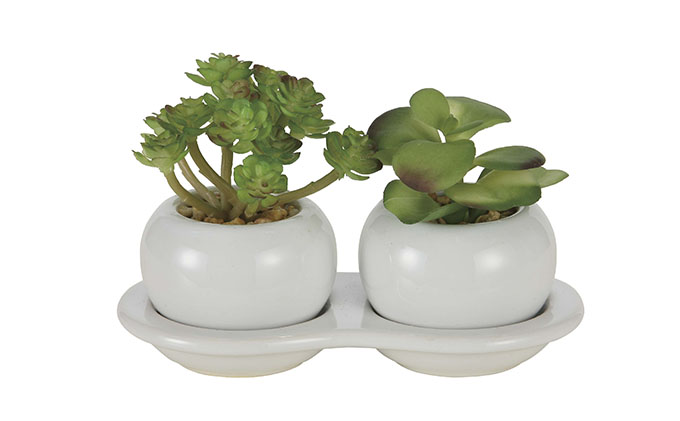 光の楽園 ダブル多肉ポットB 光触媒 フェイクグリーン フェイクフラワー 造花 フェイク 観葉植物 消臭 抗菌 防汚 ホルムアルデヒド 分解 インテリア 静岡 静岡県 浜松市 【配送不可：北海道・沖縄・離島】