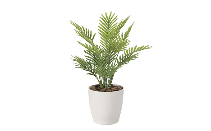 光の楽園 フレッシュパーム 光触媒 フェイクグリーン フェイクフラワー 造花 フェイク 観葉植物 消臭 抗菌 防汚 ホルムアルデヒド 分解 インテリア 静岡 静岡県 浜松市 【配送不可：北海道・沖縄・離島】