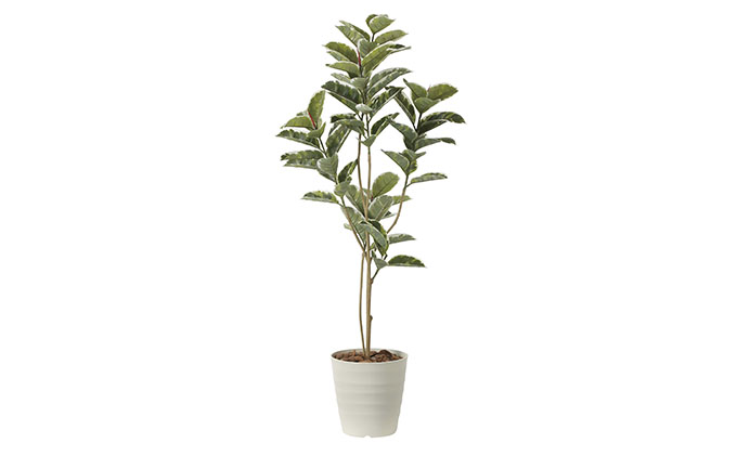 光の楽園　アルテシマ1.6【配送不可：北海道・沖縄・離島】