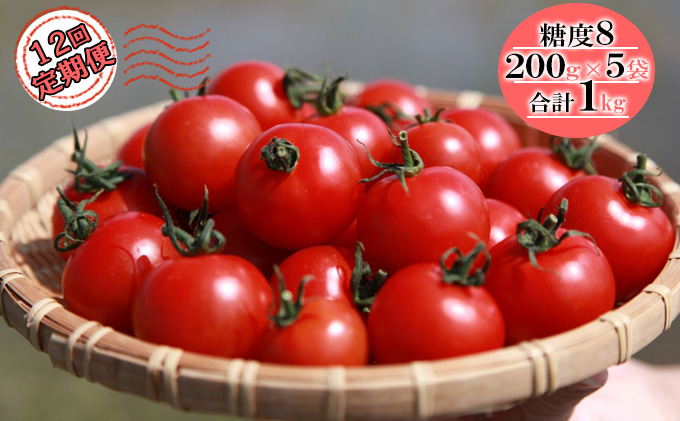 【12ヶ月定期便】機能性表示食品 Hapitoma ハピトマ 糖度8（1kg）【配送不可：離島】