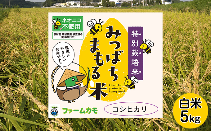 【2025年10月上旬より順次発送】雄踏ファームカモ産「特選みつばちまもる米」5kg コシヒカリ お米 ご飯 主食 ライス お弁当 おにぎり もちもち