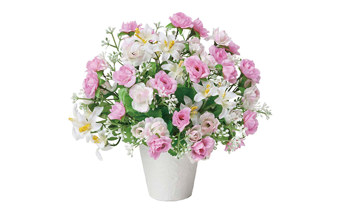 光の楽園　プチエンジェル【配送不可：北海道・沖縄・離島】