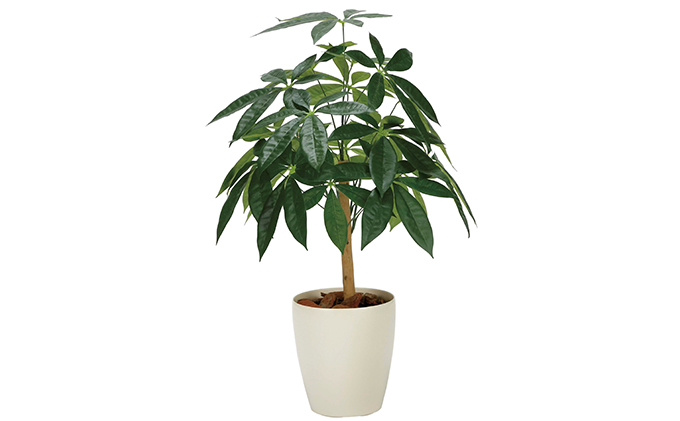 光の楽園 パキラリーフツリー72 光触媒 フェイクグリーン フェイクフラワー 造花 フェイク 観葉植物 消臭 抗菌 防汚 ホルムアルデヒド 分解 インテリア パキラ 静岡 静岡県 浜松市 【配送不可：北海道・沖縄・離島】