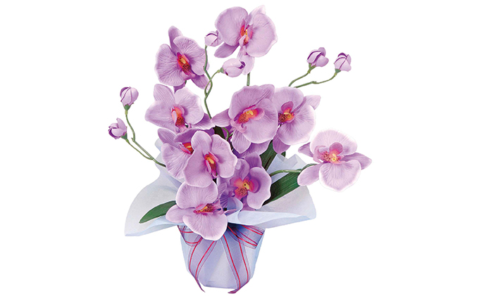 光の楽園 ホットファレノ 光触媒 フェイクグリーン フェイクフラワー 造花 フェイク 観葉植物 消臭 抗菌 防汚 ホルムアルデヒド 分解 インテリア 静岡 静岡県 浜松市 【配送不可：北海道・沖縄・離島】