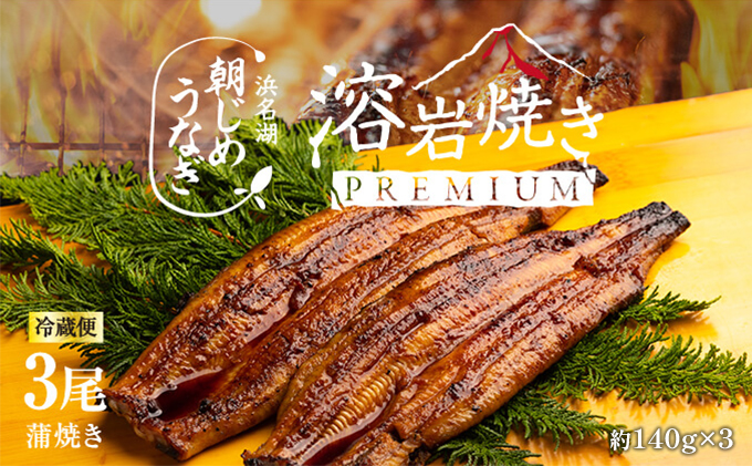 うなぎ 浜松 溶岩焼き 蒲焼き 3尾 (約140g×3尾) 朝じめ 鰻 タレ セット 土用の丑の日 丑の日 国産うなぎ 浜松うなぎ 浜名湖うなぎ 国産 蒲焼 ギフト プレゼント 贈答 レンジ 調理 レンチン 夏バテ防止 浜名湖 産地直送 冷蔵 冷蔵配送 静岡県 浜松市