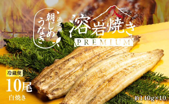 【浜名湖産】朝じめ うなぎ 溶岩焼き 白焼き 10尾（約140g×10尾）