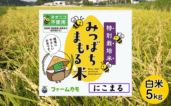 【2025年12月上旬より順次発送】雄踏ファームカモ産「みつばちまもる米」白米 5kg にこまる お米 コメ ご飯 ライス 特別栽培米 検査米 1等米 甘い おすすめ おにぎり おむすび 静岡 浜松