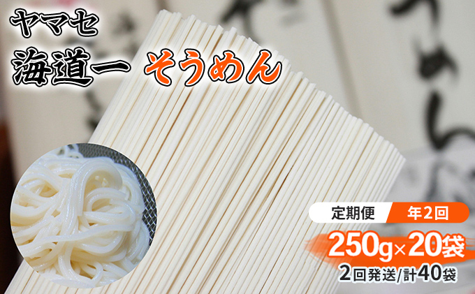 【定期便 年2回】ヤマセ 海道一 そうめん 250g × 20袋（2回発送・計40袋）