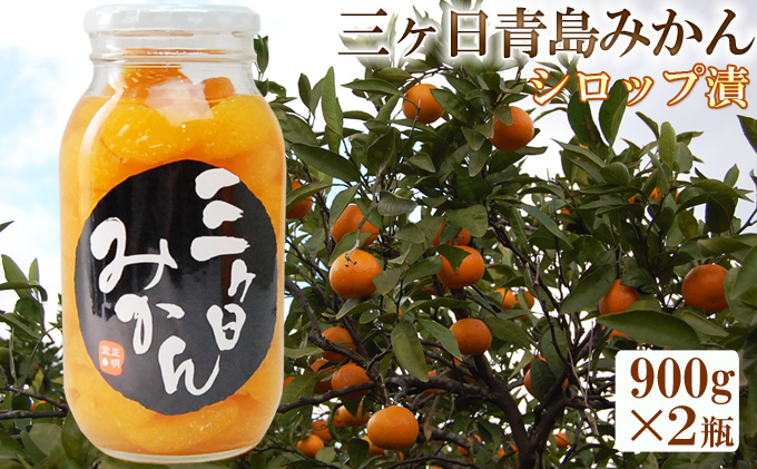 三ヶ日 青島みかん エキストラライト シロップ漬  2本（900g×2本）【配送不可：北海道・沖縄・離島】