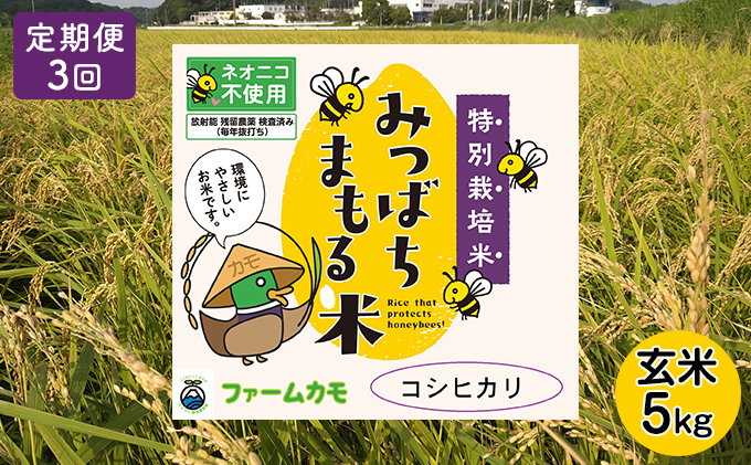 2025年10月上旬以降発送開始【定期便3回】雄踏ファームカモ産　玄米「特選みつばちまもる米」5kg コシヒカリ（3ヶ月連続・合計15kg） お米 ブランド米 ご飯 おにぎり お弁当 産地直送 1等米