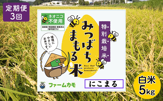 2025年12月上旬以降発送【定期便3回】雄踏ファームカモ産「みつばちまもる米」白米 5kg にこまる（3ヶ月連続・合計15kg） お米 コメ ご飯 ライス 特別栽培米 検査米 1等米 静岡 浜松