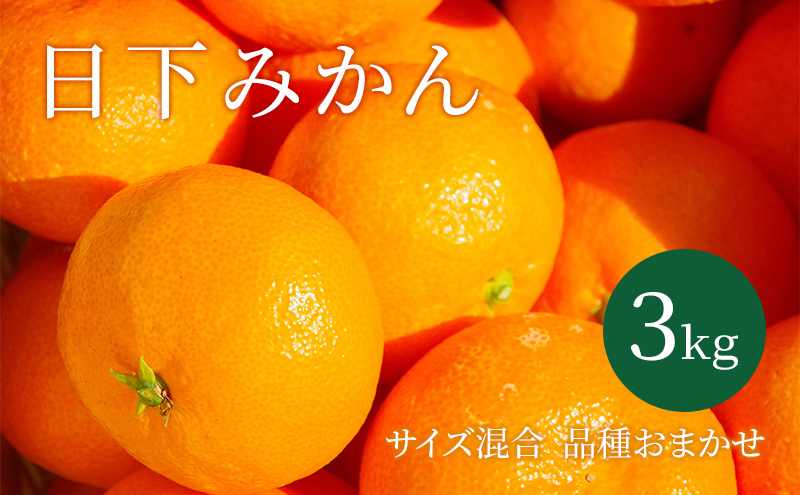 【2025年10月以降順次発送】日下みかん サイズ混合 2S～2L 3kg 秀品 果物類 柑橘類 フルーツ 農薬 有機肥料 光センサー 高品質 おいしい