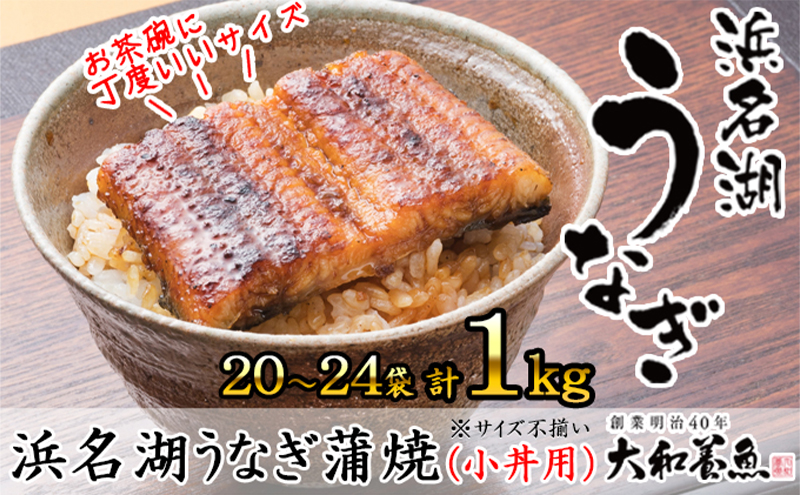 浜名湖うなぎ蒲焼（小丼用）計1kg 【訳あり】サイズ不揃い20～24袋