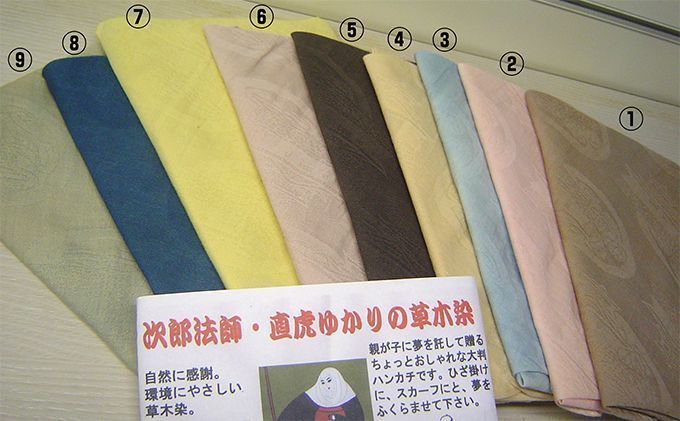 直虎出世城大判はんかち　龍潭寺庭園のサツキ／柏