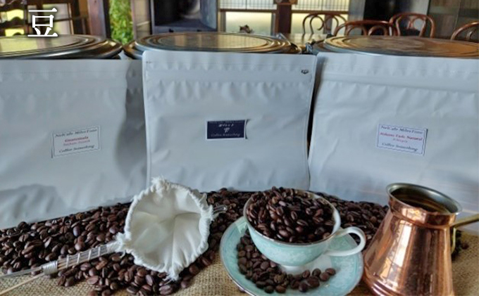 ロースターお勧め3種セット（雫・シダモ・グァテマラ）豆