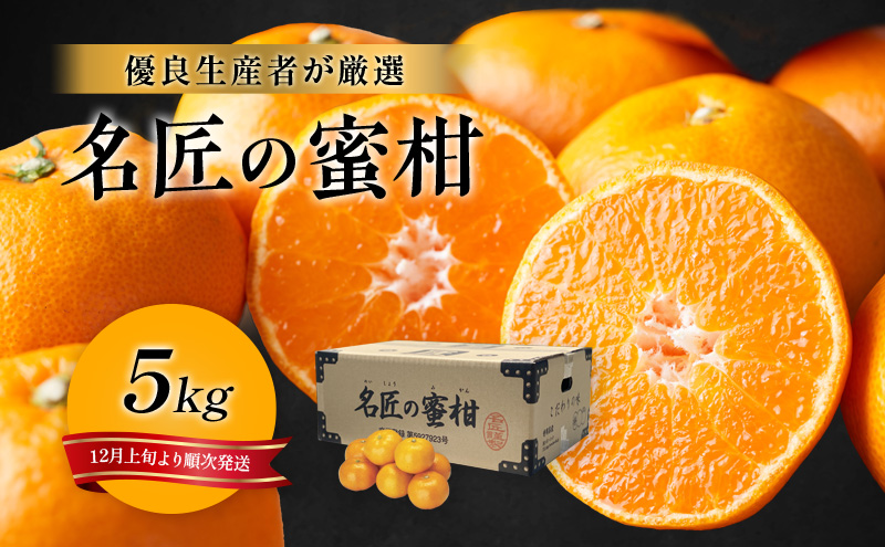 先行予約 特秀 名匠のみかん S～Mサイズ 5kg 果物 くだもの フルーツ 旬の果物 旬のフルーツ みかん 蜜柑 ミカン 柑橘 柑橘類 秀品 静岡 静岡県 浜松市