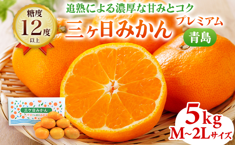 【2025年12月中旬より順次発送】三ヶ日みかん プレミアム（青島5kg）果物 柑橘 フルーツ デザート 食後 おやつ 糖度 箱詰め 濃厚 冬の味覚 静岡県産 産地直送 ビタミン サイズ混在 静岡県 浜松市