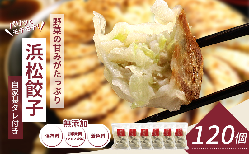 浜松餃子 知久屋 どっさり セット 120個 (20個×6袋) 詰め合わせ 自家製 たれ 24袋 ぎょうざ 餃子 ギョーザ 冷凍餃子 冷凍ぎょうざ 冷凍 冷凍食品 中華 惣菜 食品 おかず 静岡 静岡県 浜松市 【配送不可：離島】
