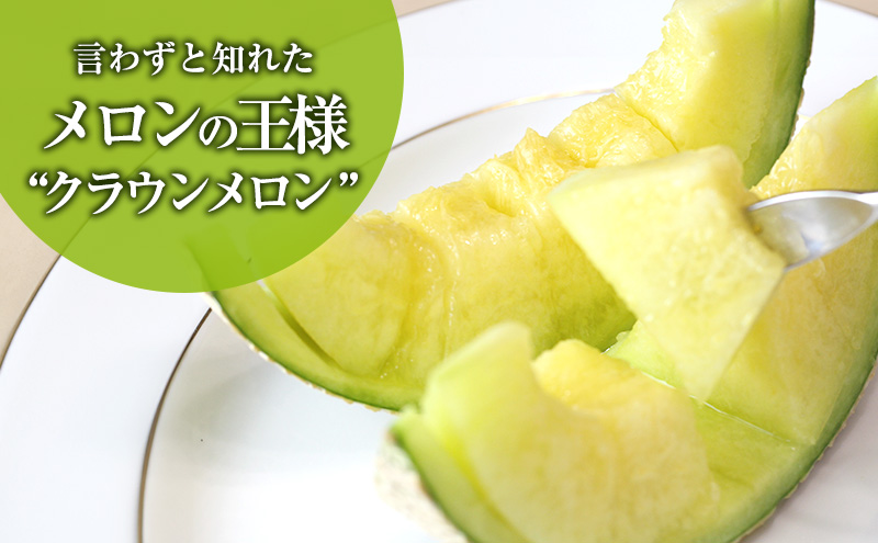 クラウンメロン 1玉入り 約1.2kg 白等級 化粧箱入り 果物 フルーツ メロン メロンの王様 最高級 贈答品 プレゼント お取り寄せ 浜松市 静岡